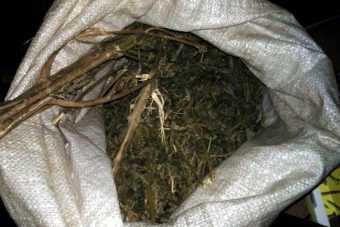 Житель Тверской области прятал в квартире крупную партию марихуаны