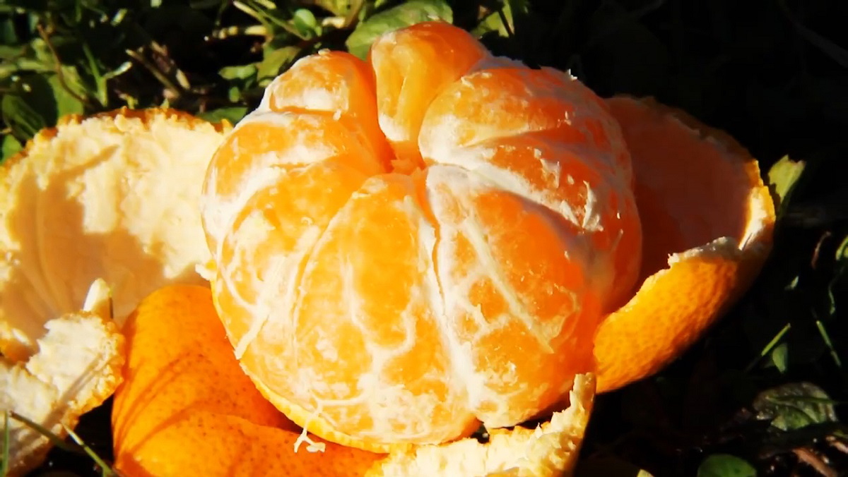 Тверитянам придется подкорректировать новогодний стол