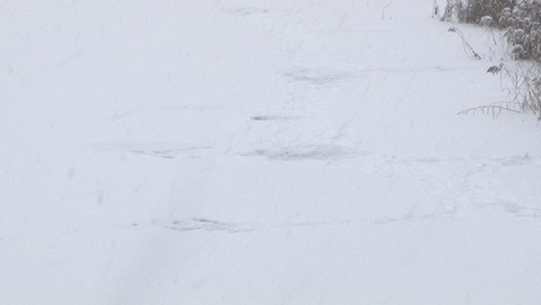 За сутки в Тверской области под лед провалились три человека