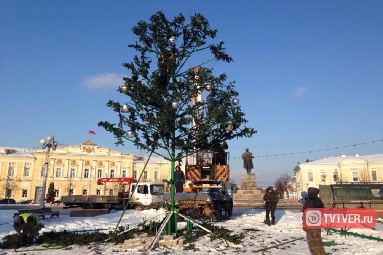 В Твери простились с главной зеленой красавицей