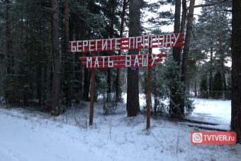В Весьегонске призывают беречь вашу мать
