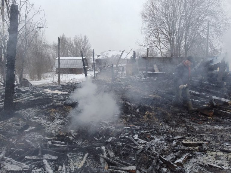 В МЧС не исключают поджога единственной гусельной мастерской в Тверской области