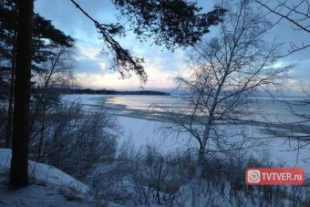 В Тверской области будут развивать охотничий туризм