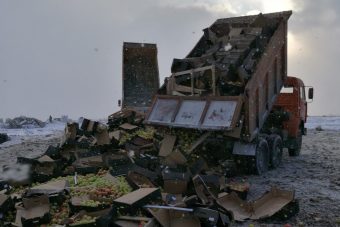 На полигоне в Тверской области уничтожили 106 тонн санкционных яблок, груш и томатов