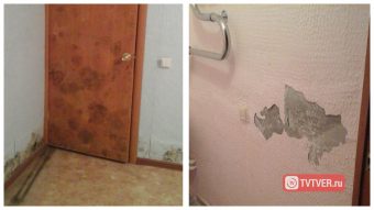 Грибок и осыпающаяся штукатурка: люди в Пено отказываются переселяться в «новое» жилье?