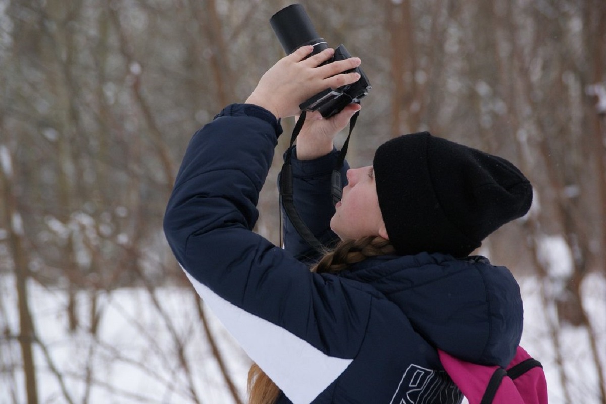 В Тверской области проходит перепись воробьев