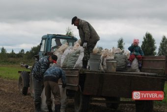 В трех деревнях Тверской области «кончились» мужчины