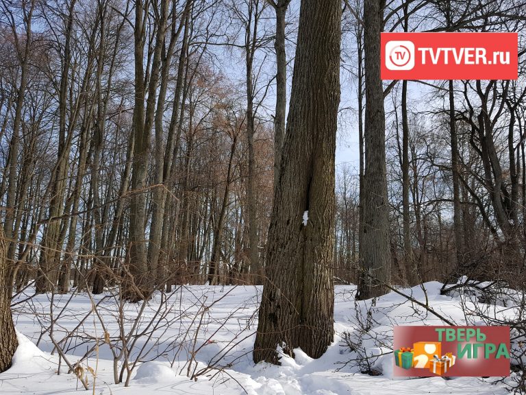 «Тверьигра», выпуск № 25: результат