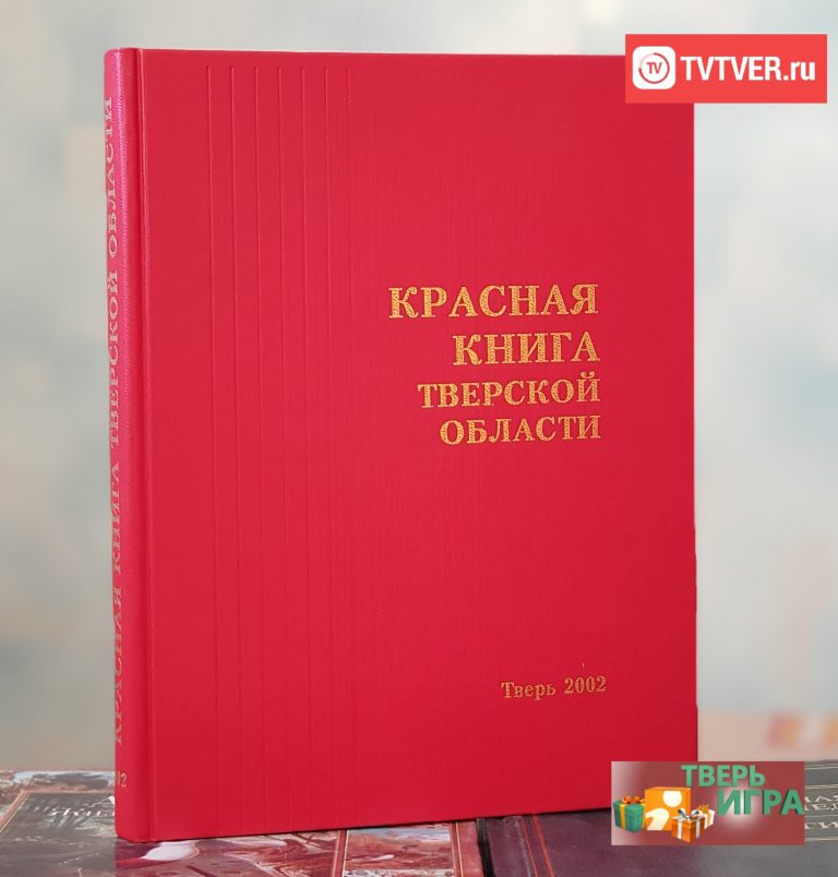 «Тверьигра», выпуск № 30: результат