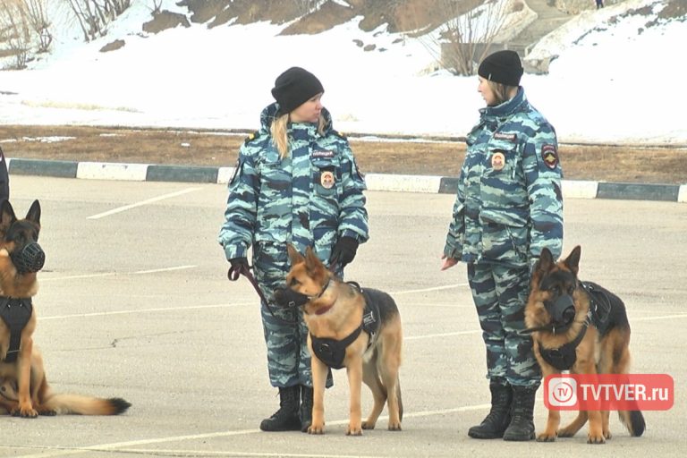 В Твери проинструктировали полицейских о том как и с кем бороться