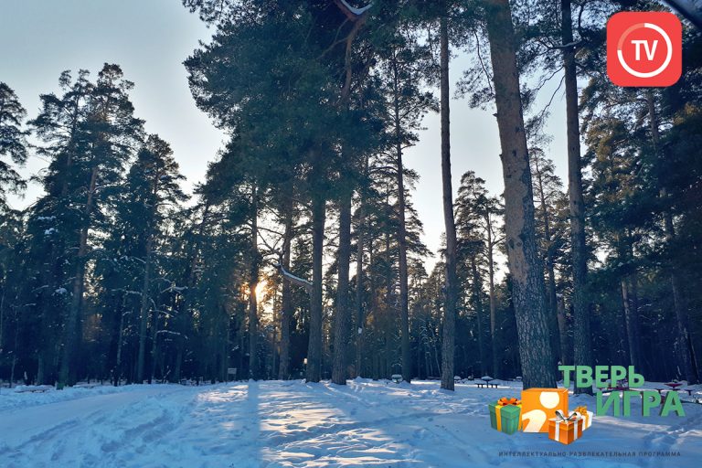 «Тверьигра», выпуск № 20: результат