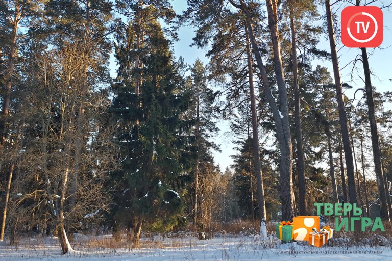 «Тверьигра», выпуск № 20: результат