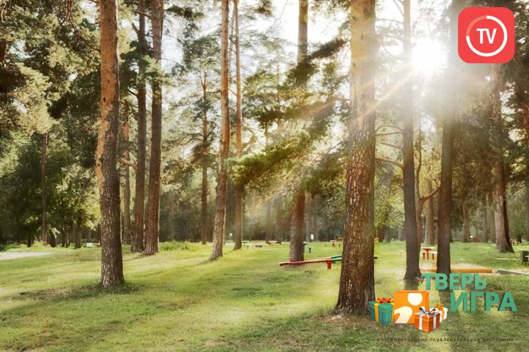 «Тверьигра», выпуск № 20: результат