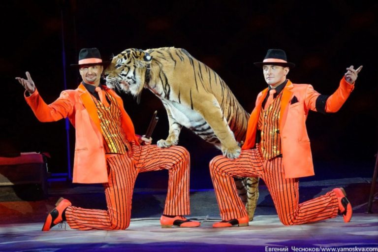 Аскольд Запашный посетил эфир «Пилот Радио»