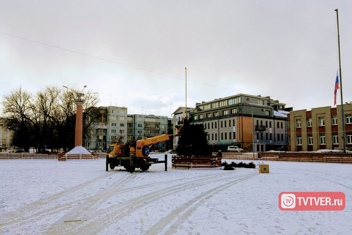 В Твери в конце марта на искусственной новогодней ели нашли гнездо с яйцами