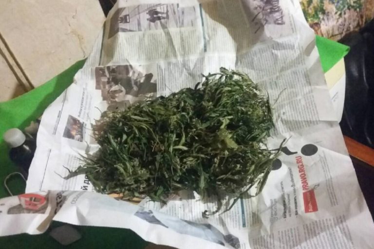 За хранение конопли дома жителю Тверской области грозит реальный срок