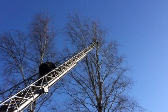 В Тверской области пожарные спасли кота