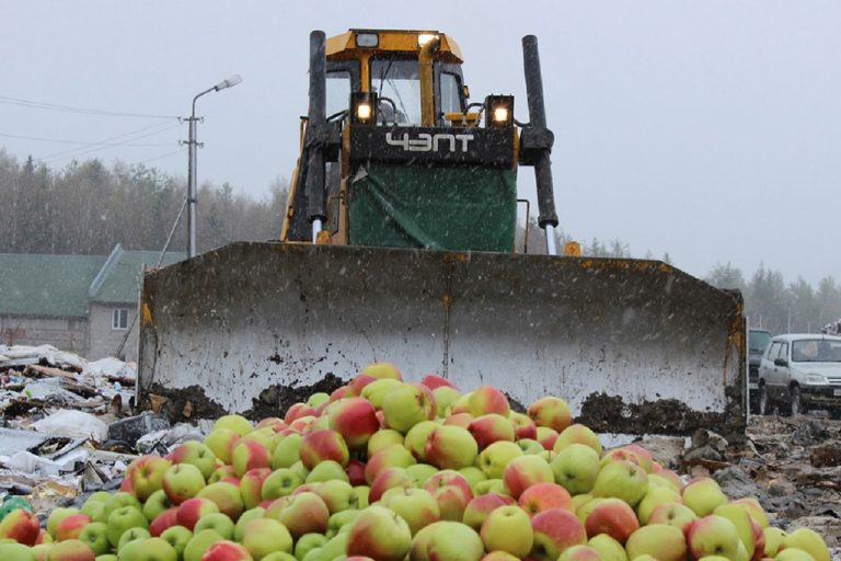В Тверской области уничтожили 165 тонн овощей и фруктов
