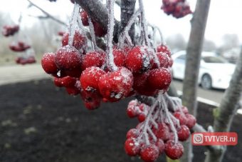 В выходные в Твери ожидаются холодные ночи