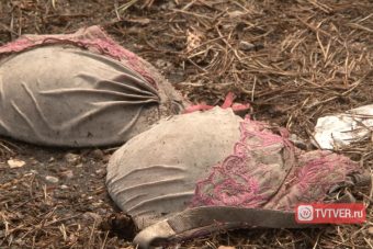 Обочины дороги под Тверью утопают в мусоре, а чиновники хлопают дверьми