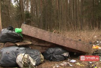 Обочины дороги под Тверью утопают в мусоре, а чиновники хлопают дверьми