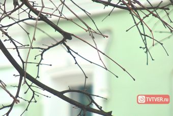 Тепло, еще теплее, горячо: тверской Гидрометцентр дал прогноз погоды на неделю