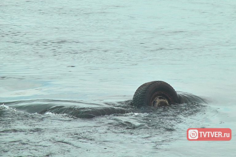 Тепло, еще теплее, горячо: тверской Гидрометцентр дал прогноз погоды на неделю