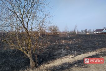 В Тверской области из-за пала сухой травы едва не сгорело целое село