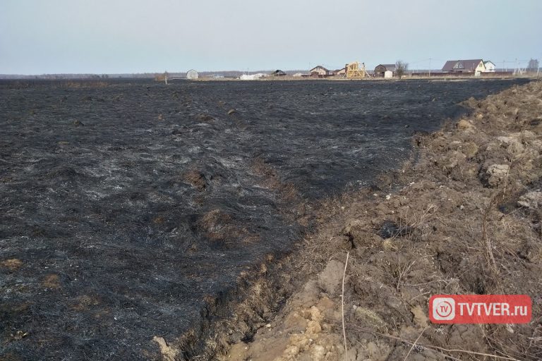 В Тверской области из-за пала сухой травы едва не сгорело целое село