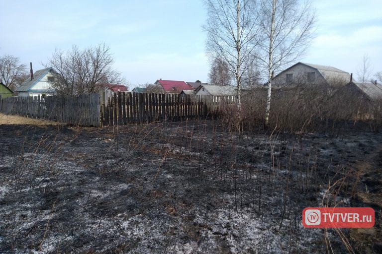 В Тверской области из-за пала сухой травы едва не сгорело целое село