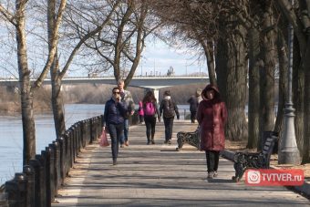 В Твери за последние три года воздух испортился в разы