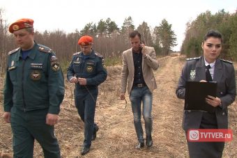В Тверской области неиспользуемые сельхозземли могут изымать у собственников