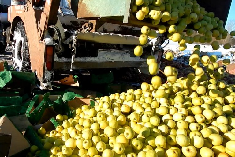 В Тверской области раздавили 223 тонны овощей и фруктов