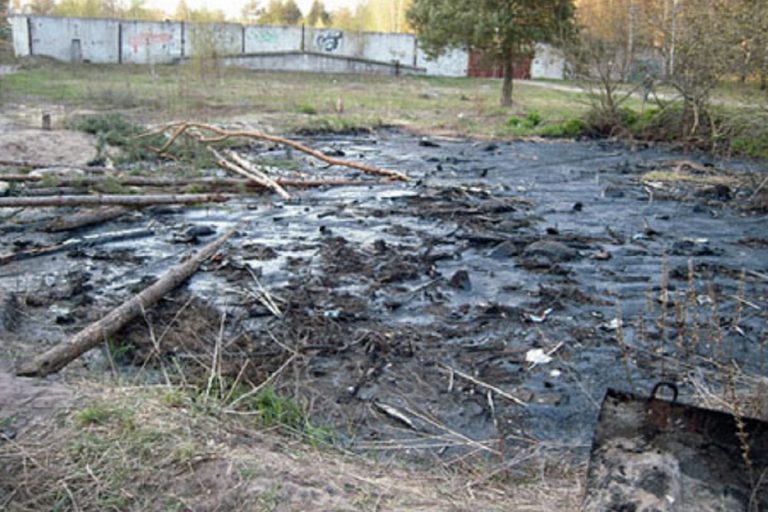 В Тверской области лосиху пришлось доставать из ямы с битумом В Тверской области лосиху пришлось доставать из ямы с битумом