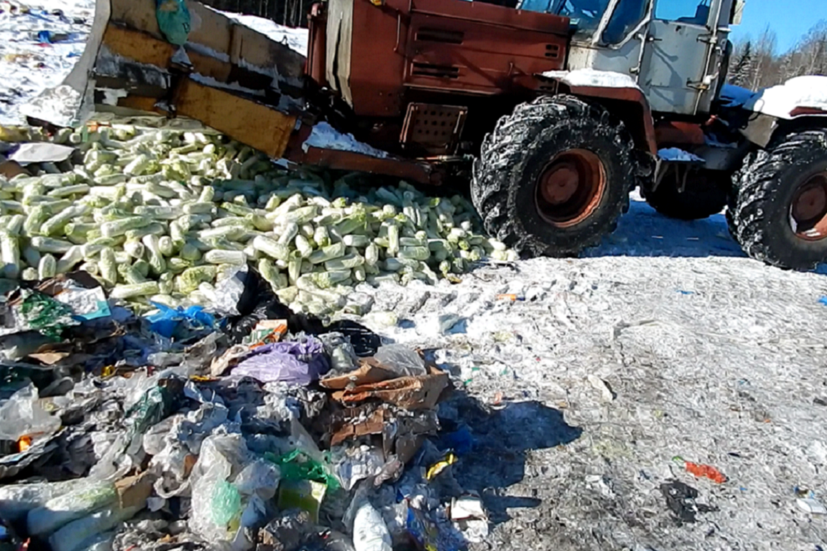 В Тверской области раздавили 223 тонны овощей и фруктов
