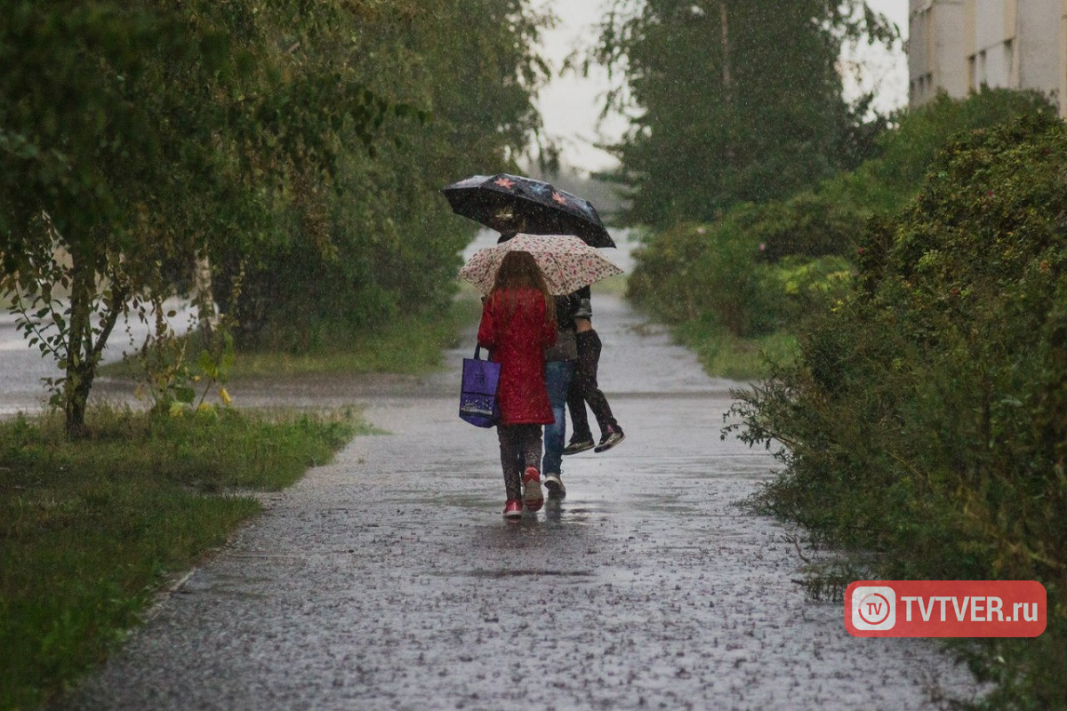 Дождь с грозой ожидается в Тверской области
