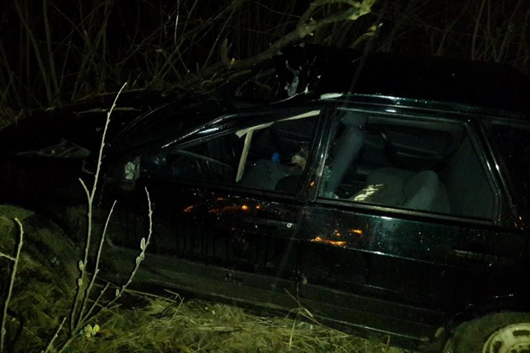 Под Тверью автомобиль наехал на лося, пострадали два человека