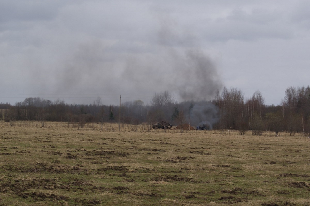 В Тверской области сожгли мертвое стадо коров
