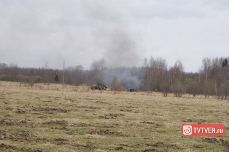 В Тверской области сожгли мертвое стадо коров