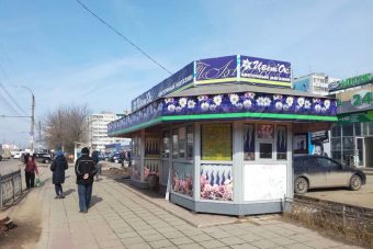 В Твери торговали цветочники-нелегалы