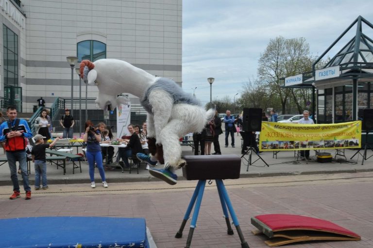 Жителей Твери приглашают попрыгать через козла и примерить рога