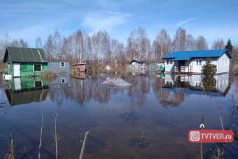 Пришла вода, которой не ждали: под Тверью подтоплены дачные кооперативы