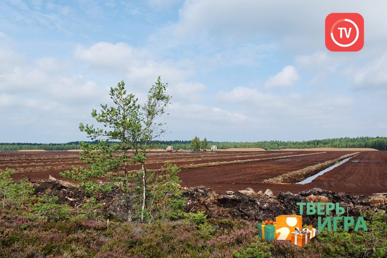 «Тверьигра», выпуск № 41: результат