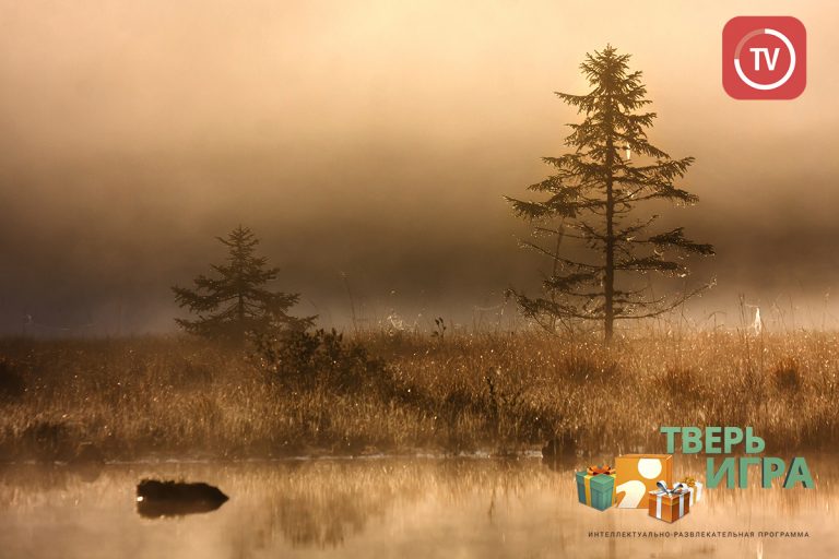 «Тверьигра», выпуск № 41: результат