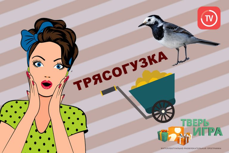 «Тверьигра», выпуск № 36: результат