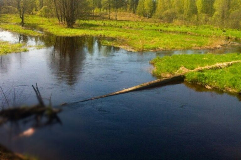 Житель Тверской области до смерти избил сожительницу и выбросил тело в реку
