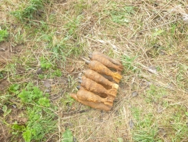 В Тверской области спасатели обезвредили 86 снарядов времен Великой Отечественной войны