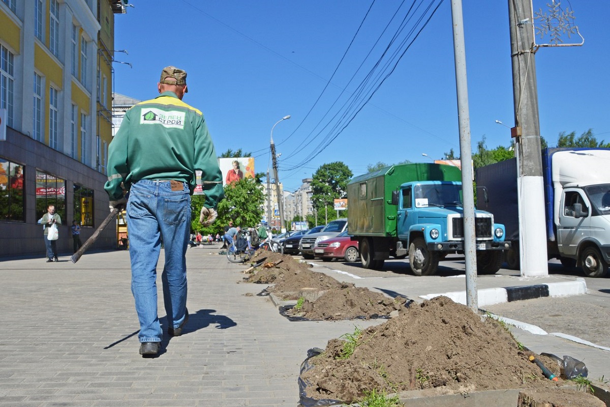 В Твери на проспекте Победы начались работы по высадке новых лип
