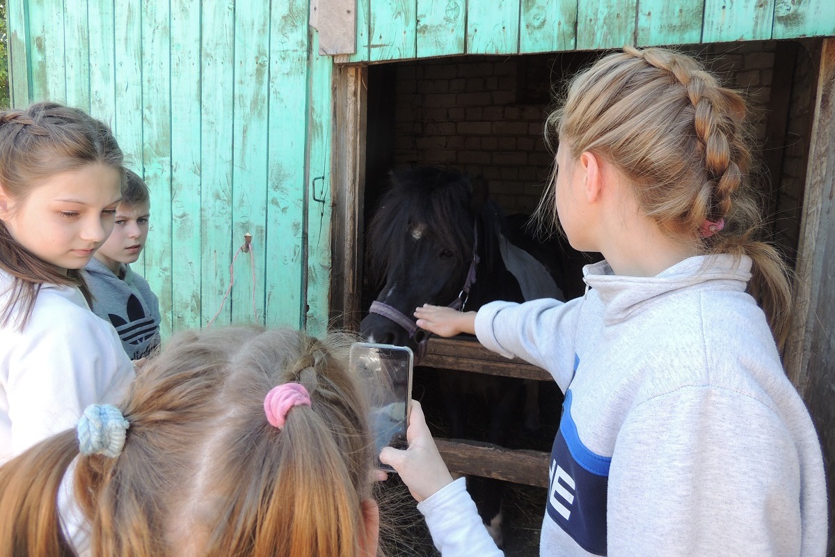 Транспортные полицейские Твери организовали детям из реабилитационного центра праздник в Федерации конного спорта