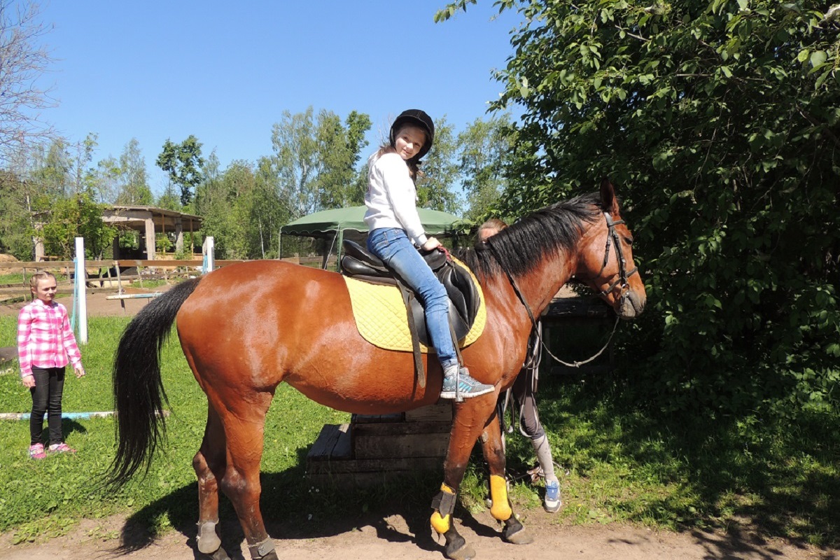 Транспортные полицейские Твери организовали детям из реабилитационного центра праздник в Федерации конного спорта